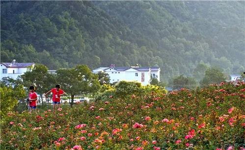 国产福利三区,探索中国影视产业的繁荣与魅力